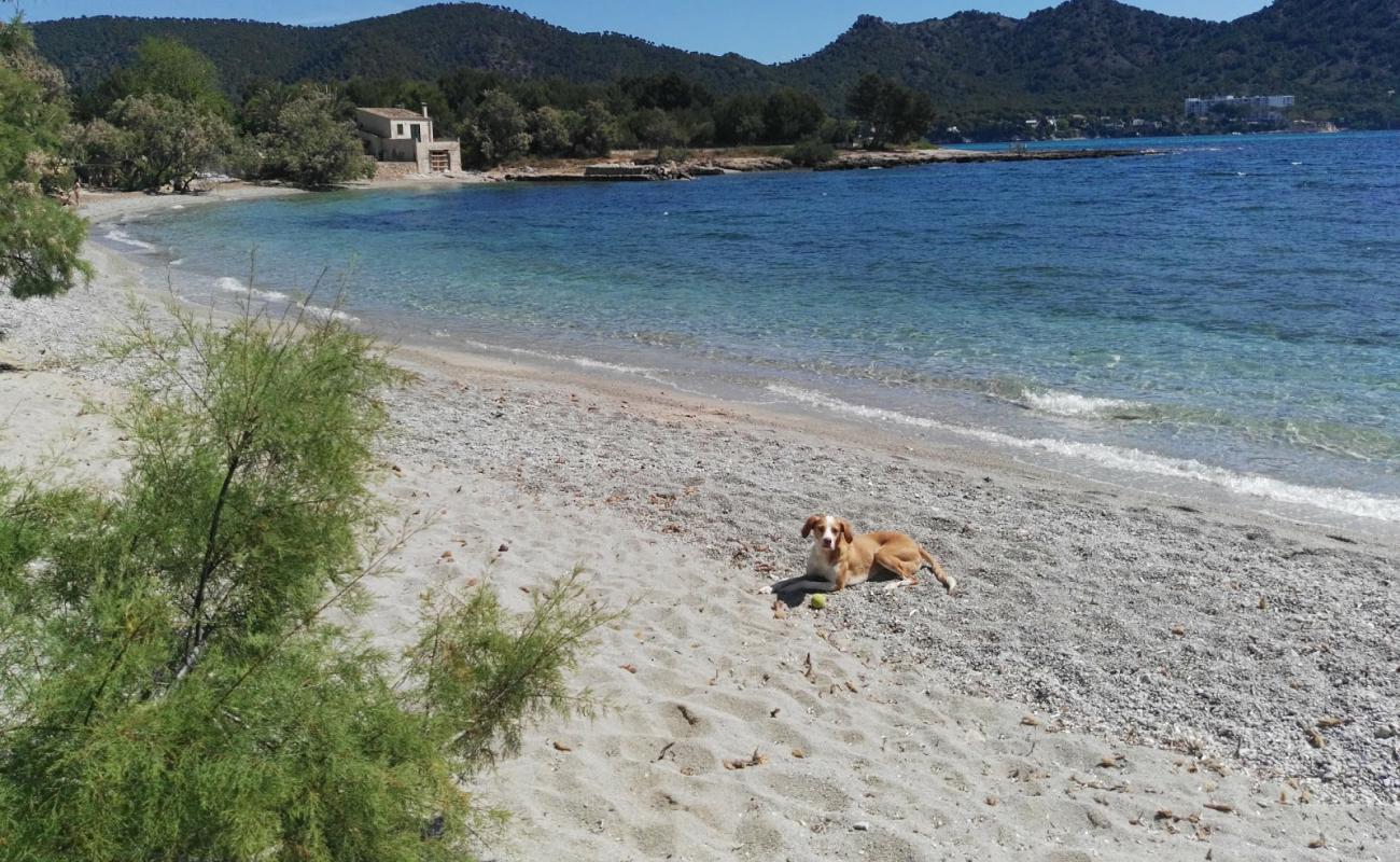 Foto de Platja des Port Vella con arena fina y guijarros superficie