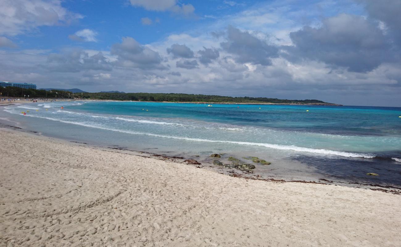 Foto de Playa de Sa Coma con brillante arena fina superficie