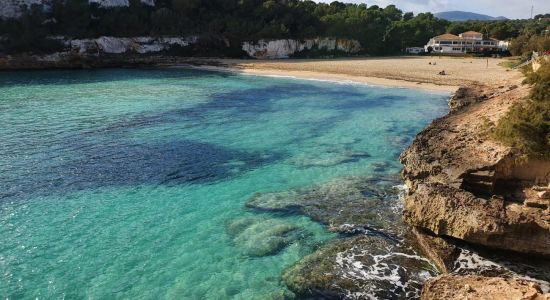 Playa de Estany d'en Mas