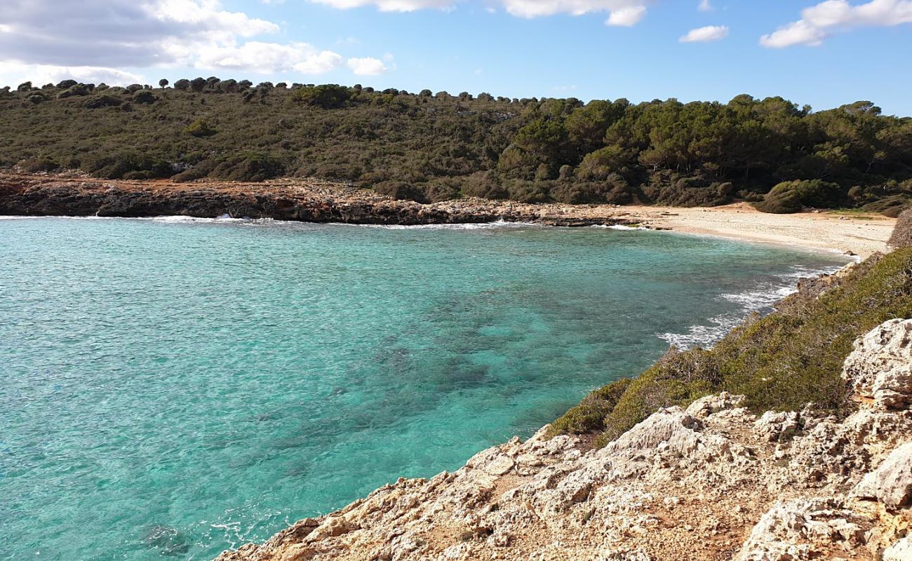 Foto de Cala Varques con brillante arena fina superficie