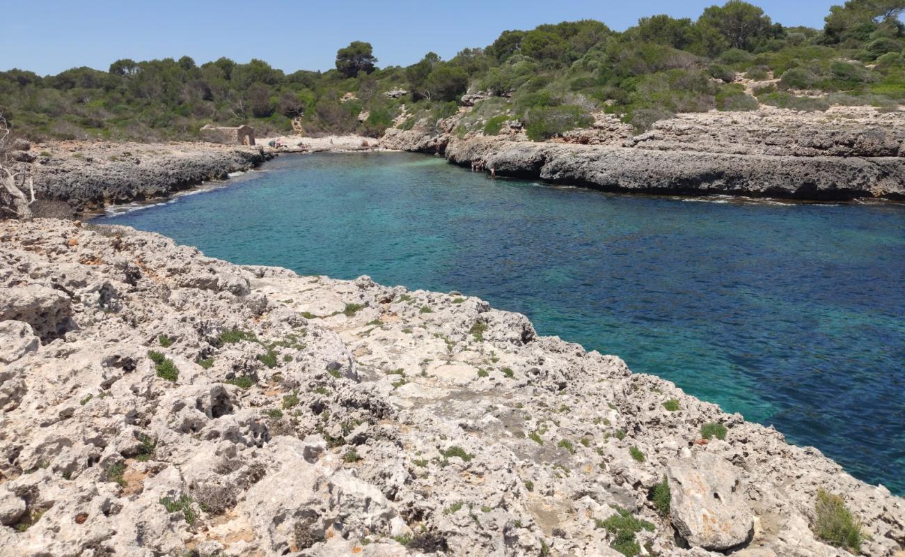 Foto de Cala Brafi con arena brillante superficie