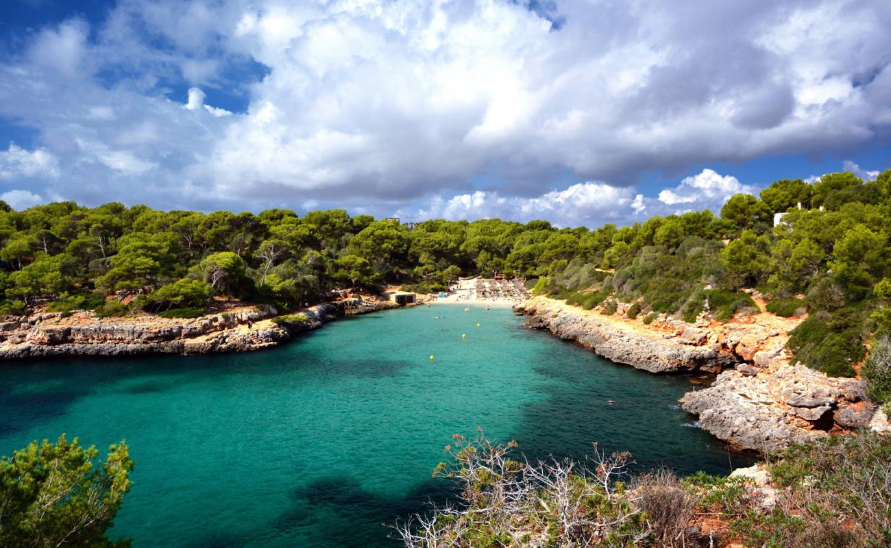 Foto de Cala Sa Nau con brillante arena fina superficie