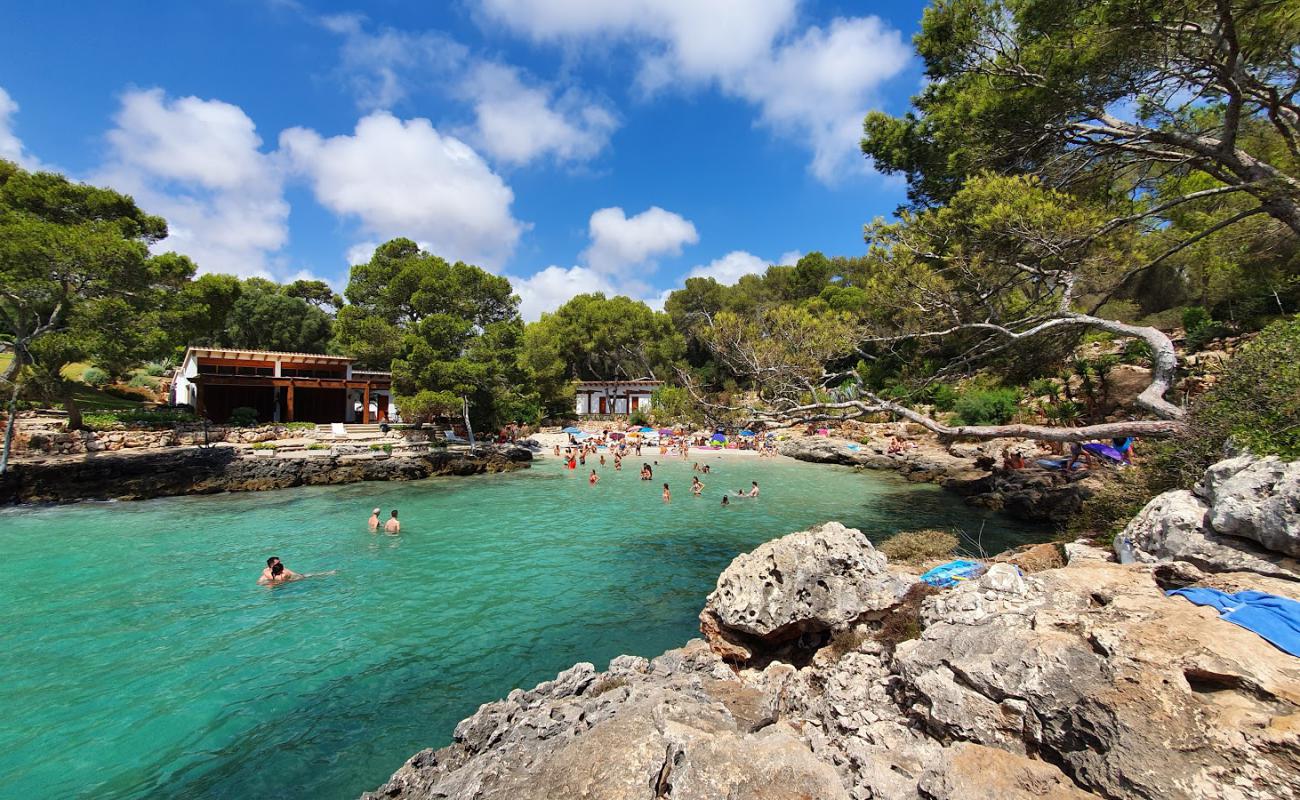 Foto de Cala Mitjana con brillante arena fina superficie