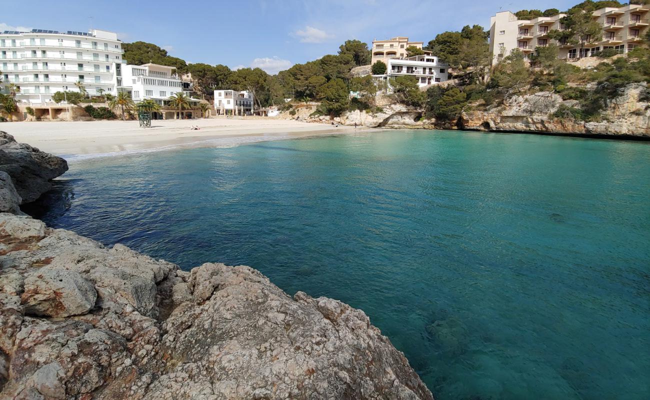 Foto de Playa de Santanyi con brillante arena fina superficie