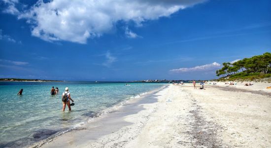 Platja d'es Carbó