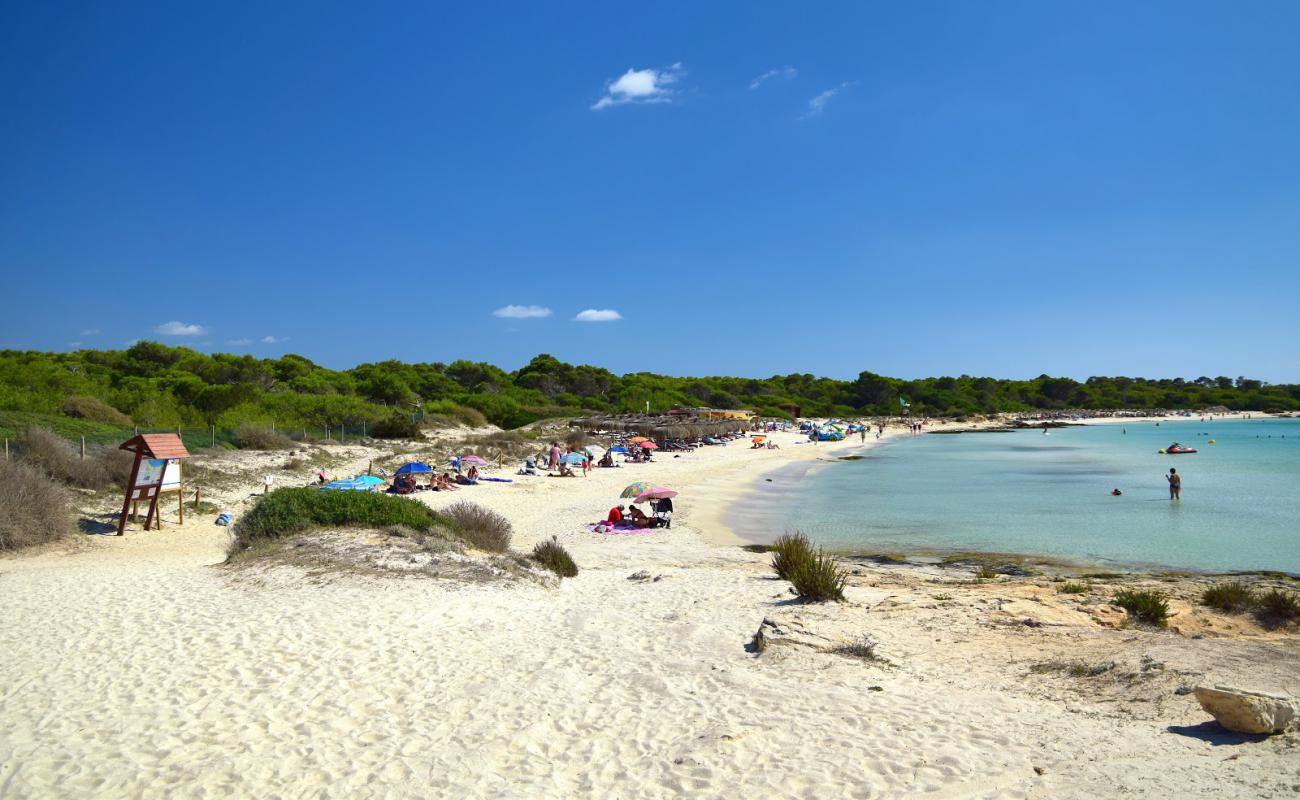 Foto de Playa Dolc con brillante arena fina superficie