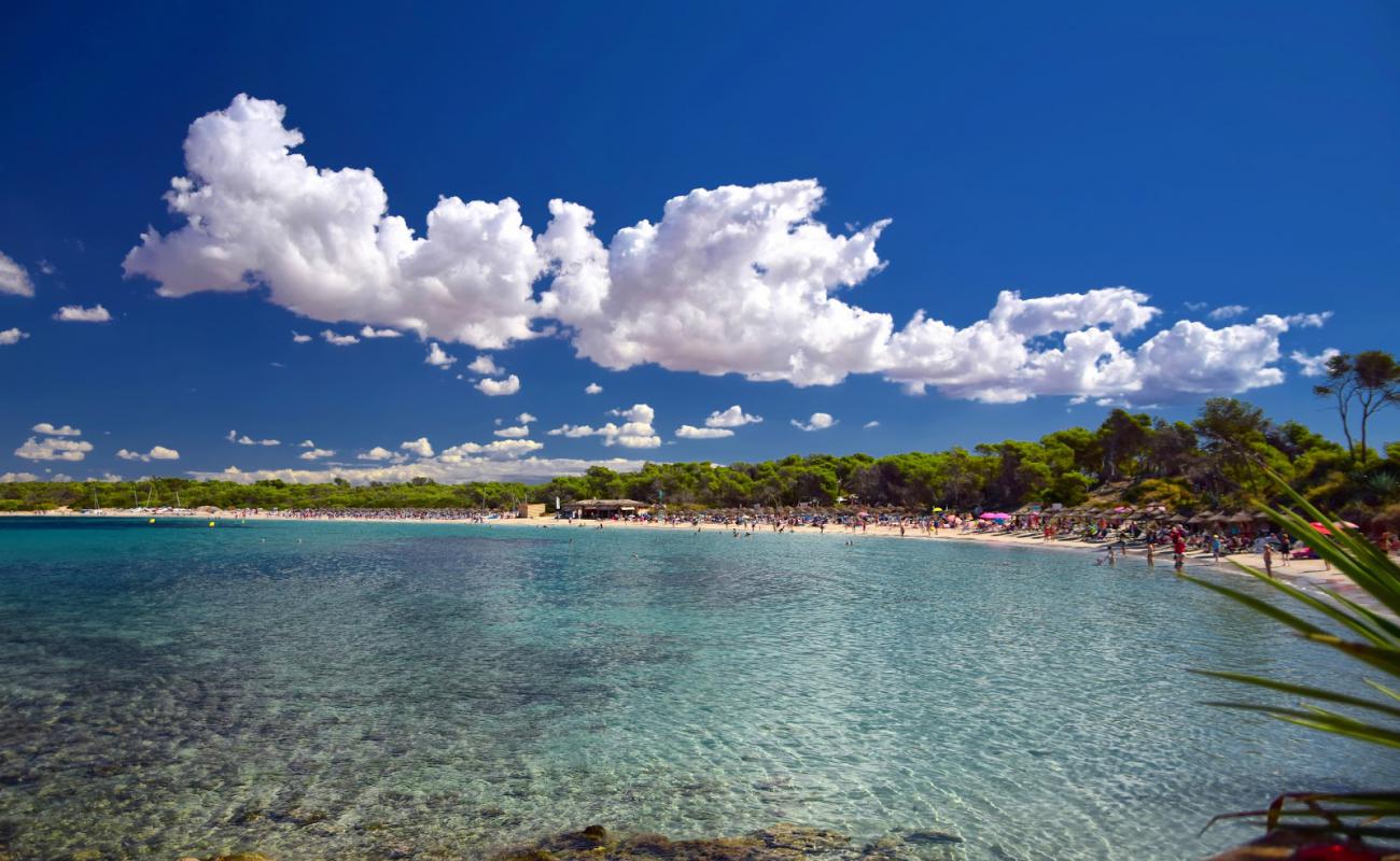 Foto de Playa Moli de s'Estany con brillante arena fina superficie