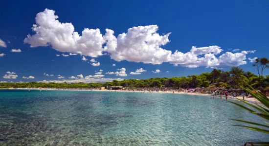 Playa Moli de s'Estany