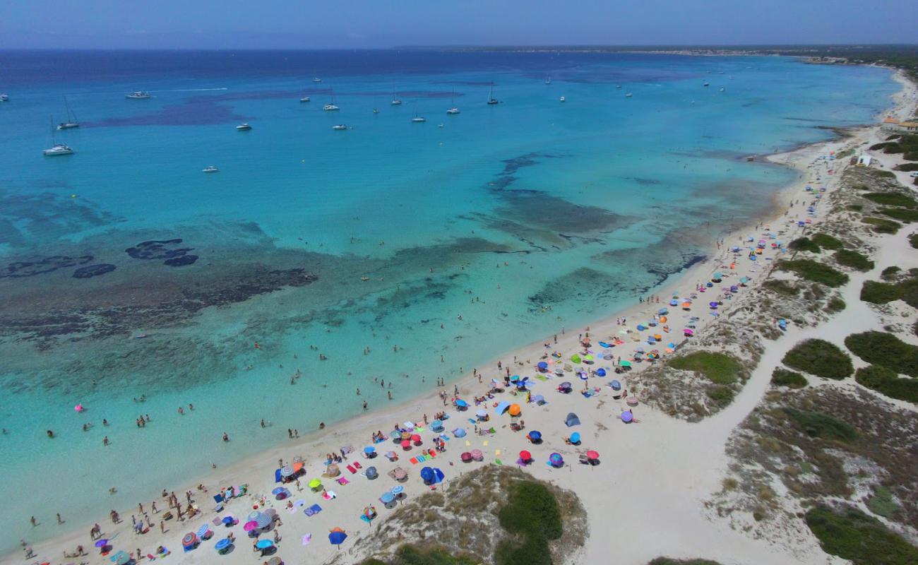 Foto de Platja Des Trenc con arena fina blanca superficie