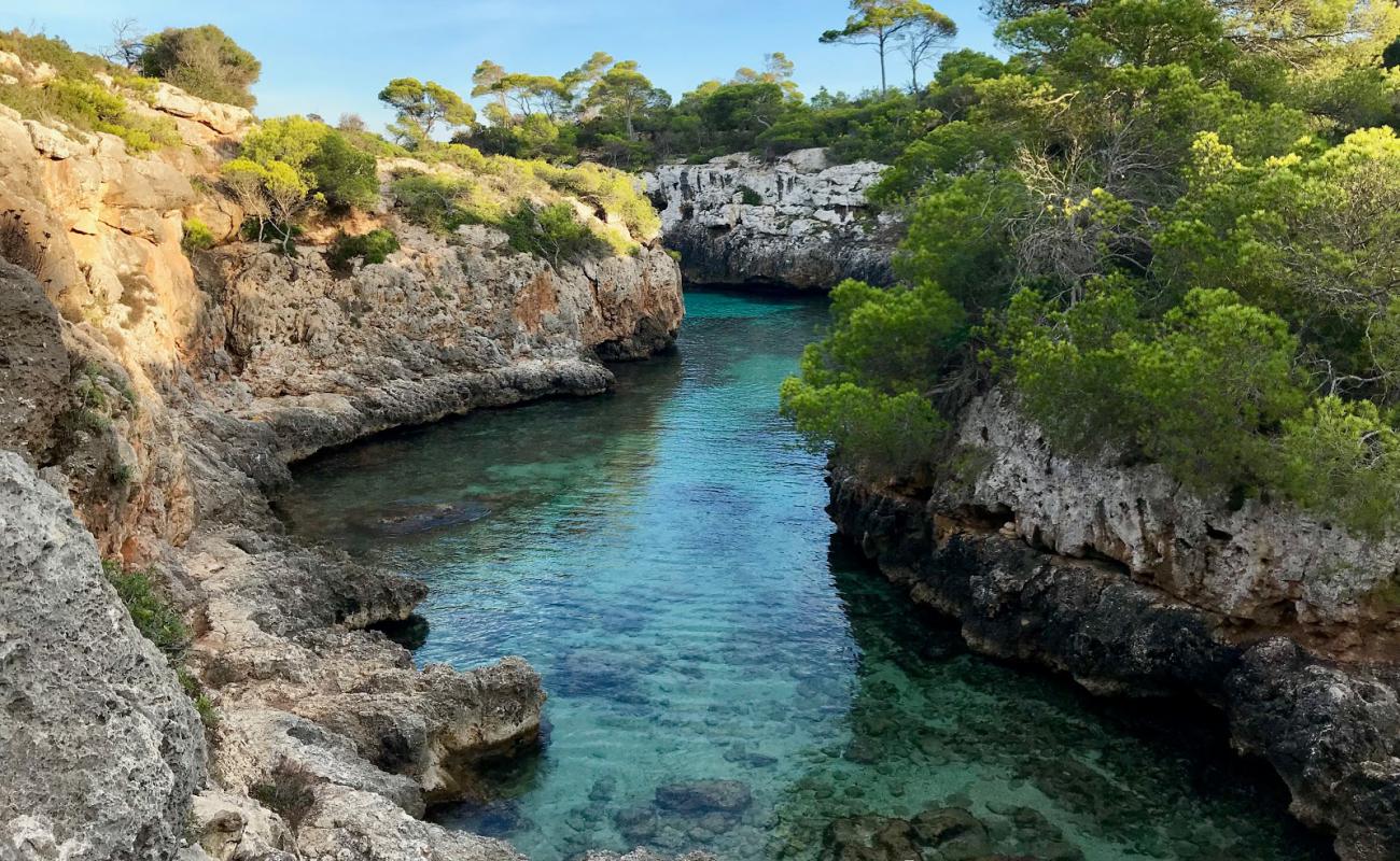 Foto de Cala Beltran con piedra superficie