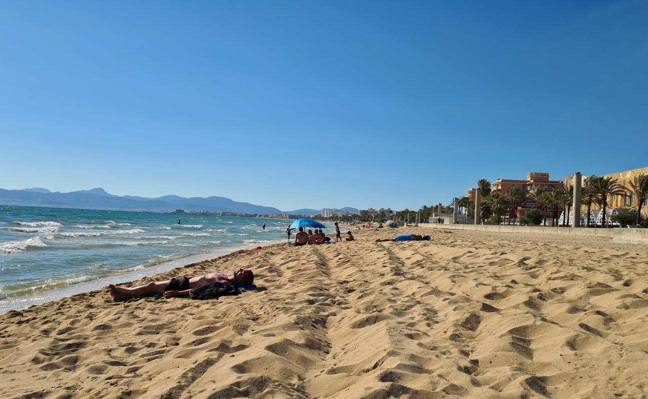 Foto de Playa de Palma con brillante arena fina superficie