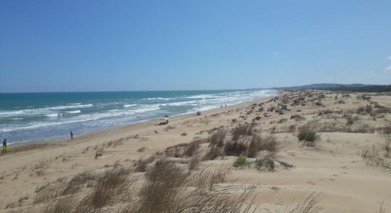 Playa de la Marina