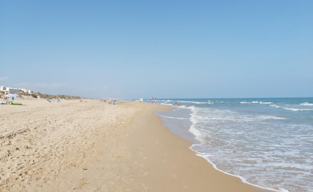 Foto de Platja la devesa con arena oscura superficie