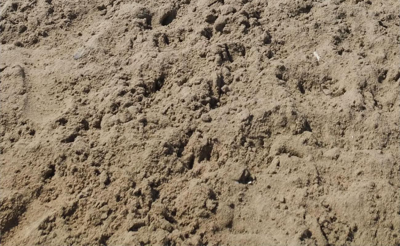 Foto de Playa de Canet con arena oscura superficie