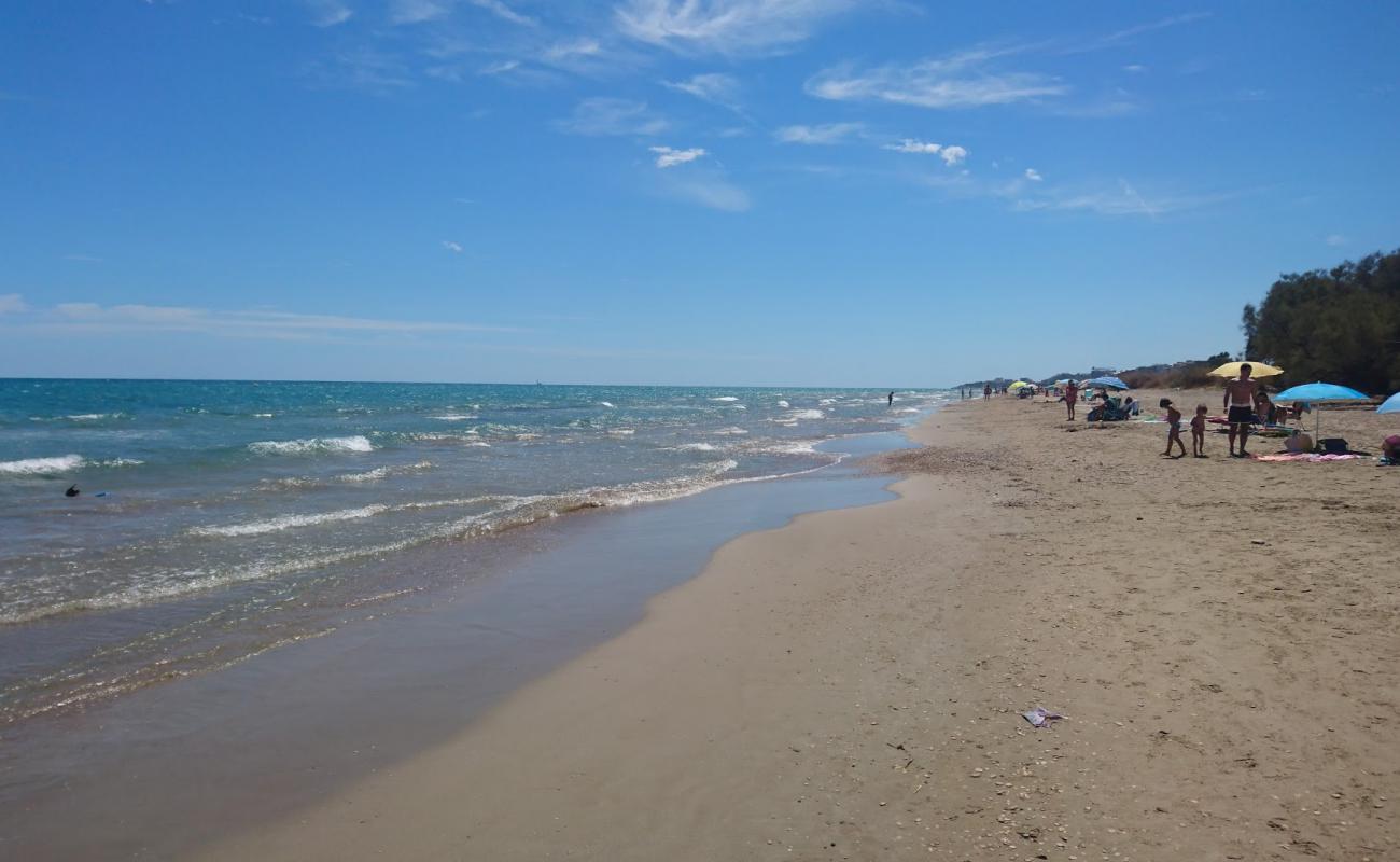 Foto de Playa de Torrenostra con arena oscura superficie