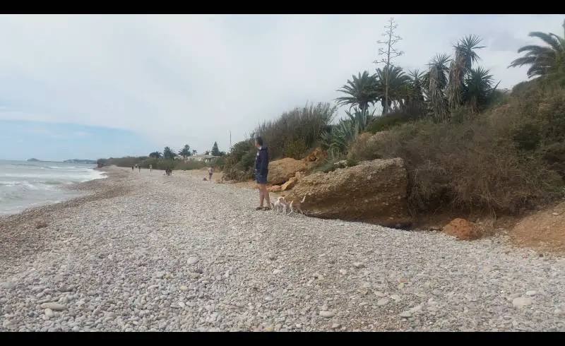 Foto de Canina D'Aiguaoliva con guijarro gris superficie