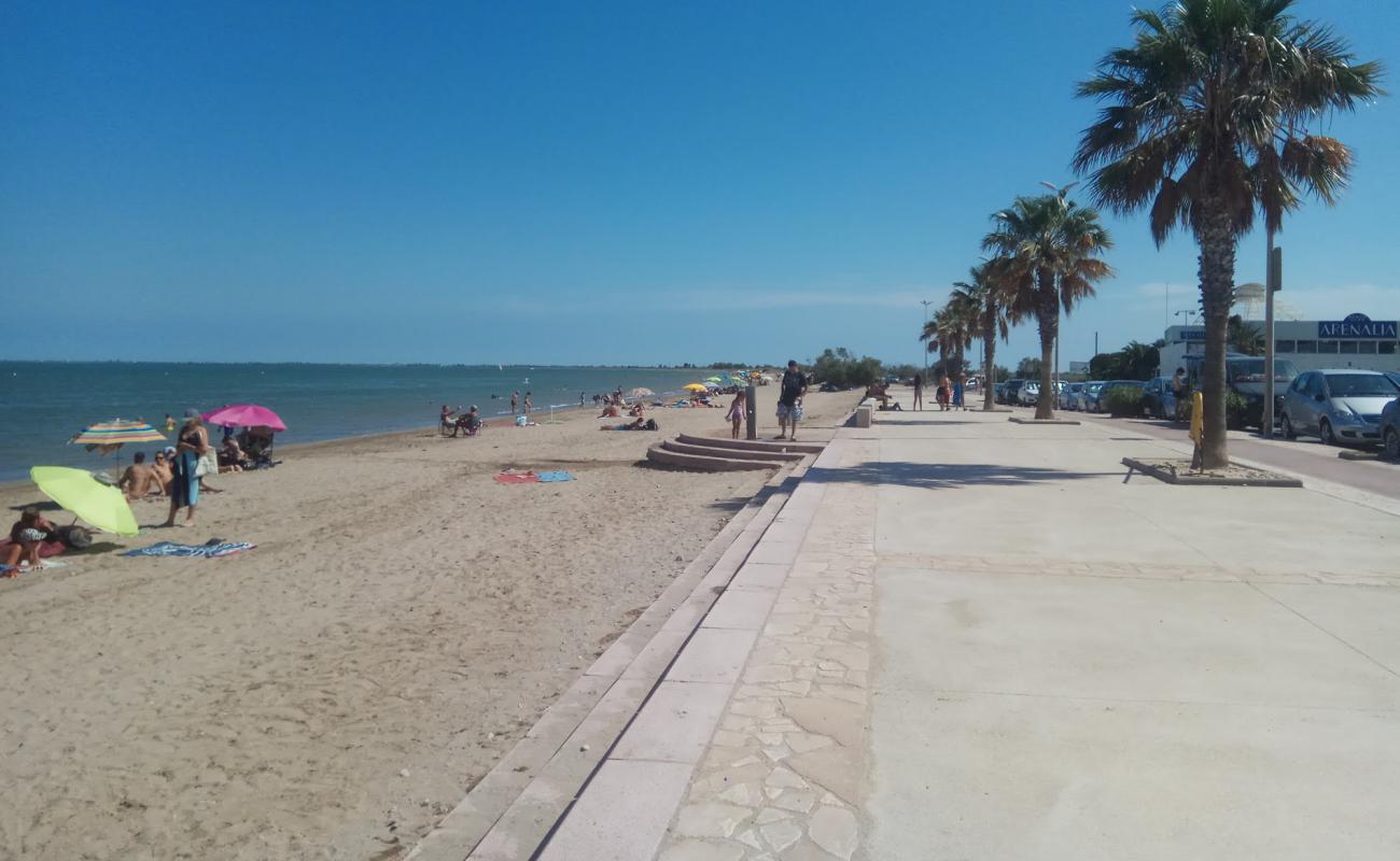 Foto de Platja de l'Arenal con arena oscura superficie