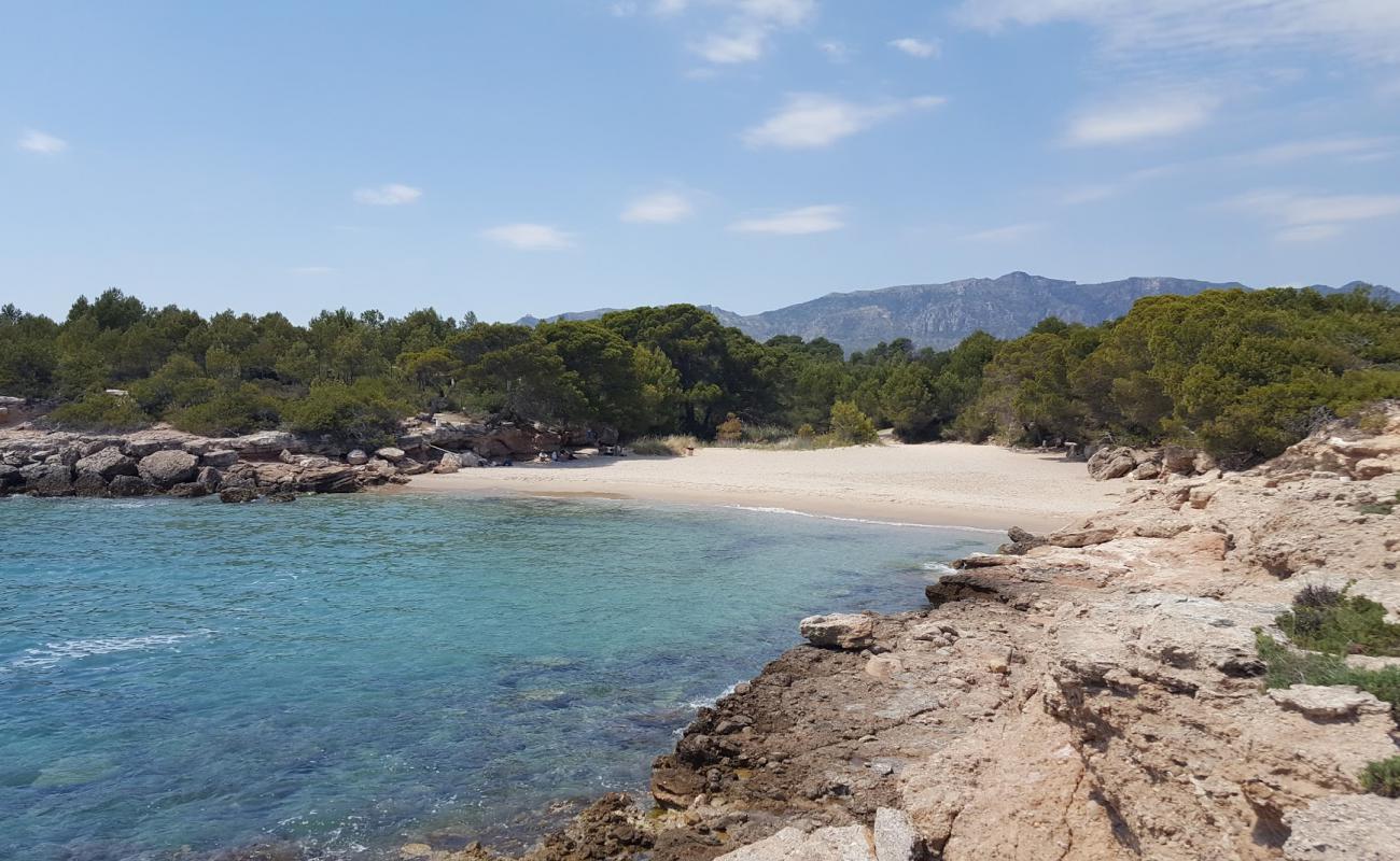 Foto de Cala Lo Ribellet con arena brillante superficie