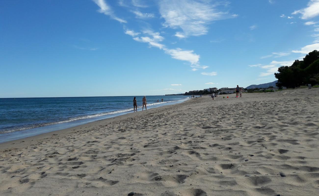 Foto de Platja de la Porquerola con arena brillante superficie