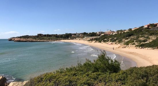 Platja de la Savinosa