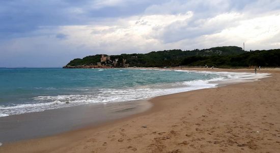 Playa de Tamarit