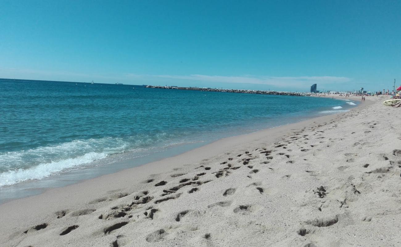 Foto de Platja de la Mar Bella con brillante arena fina superficie