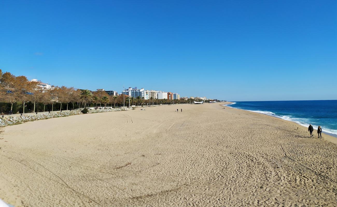 Foto de Playa de Calella con arena brillante superficie