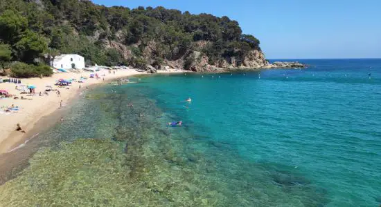 Playa de Canyelles