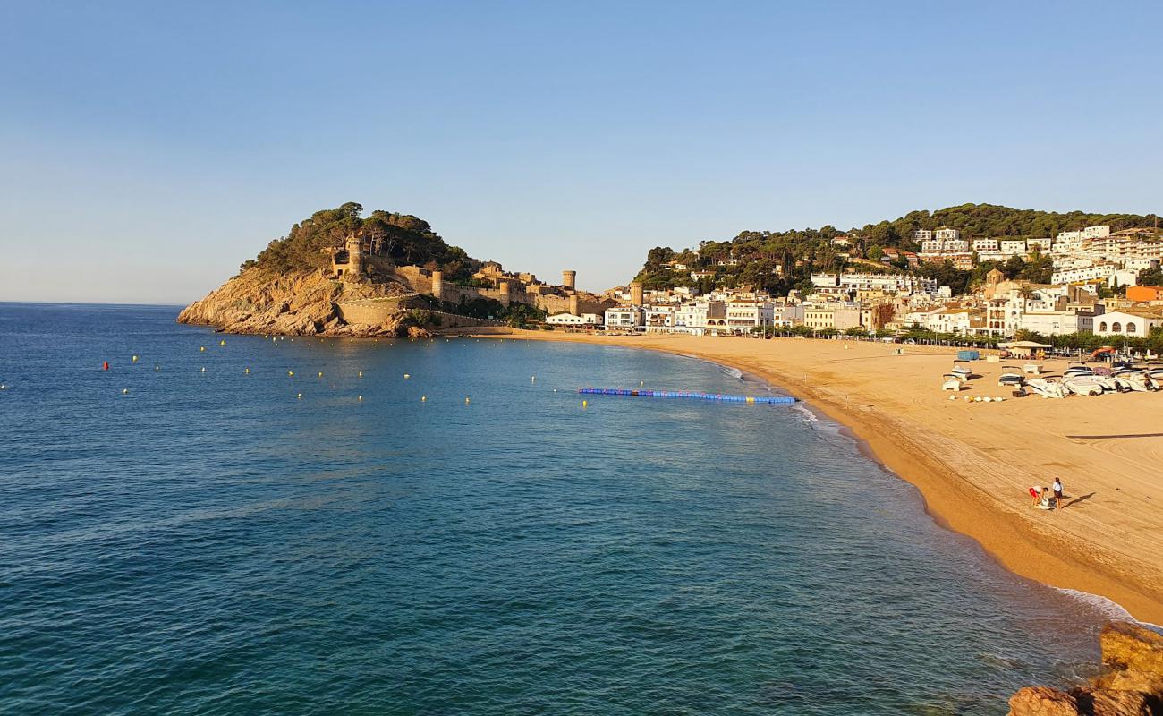 Foto de Playa de Tossa de Mar con arena de concha brillante superficie