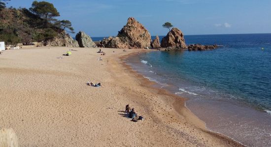 Playa de Mar Menuda