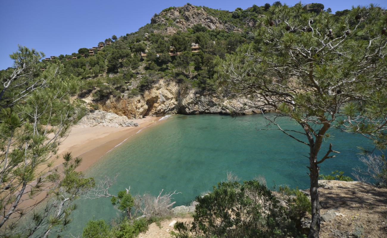 Foto de Cala Pola con arena de concha brillante superficie