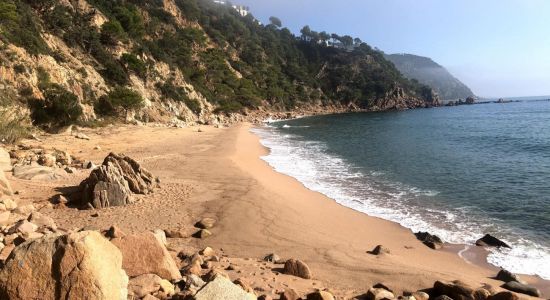 Playa Cala Del Sr. Ramon