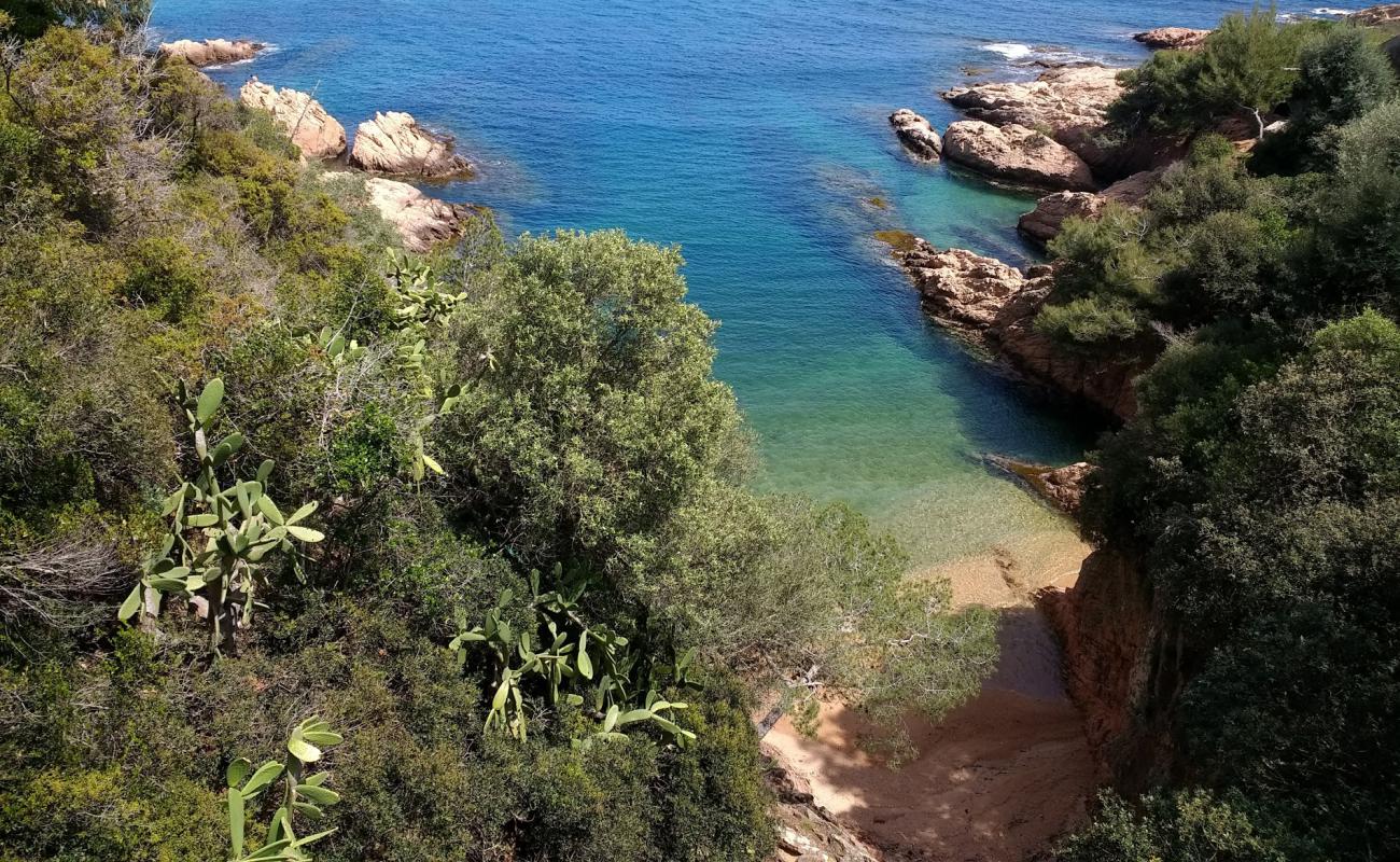 Foto de Cala Maset con arena brillante y rocas superficie