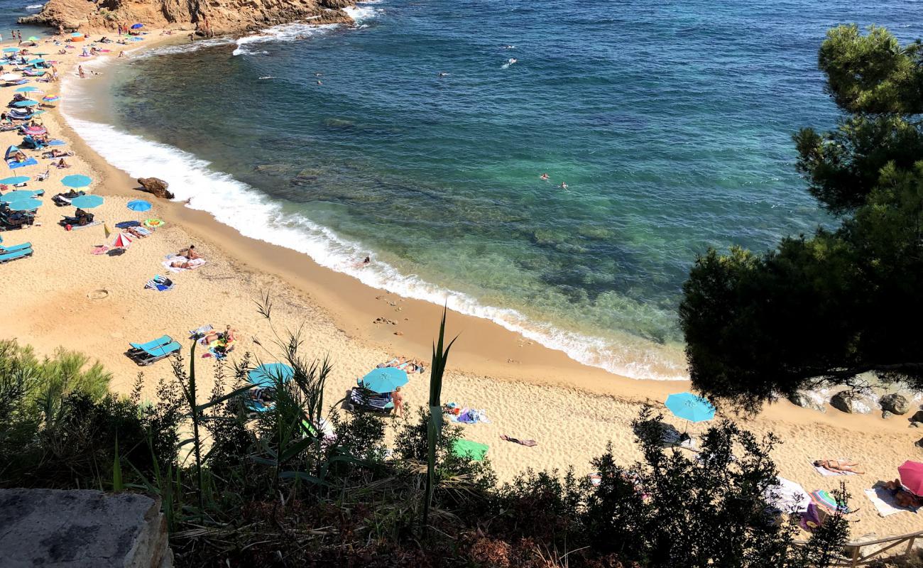 Foto de Cala Cap Roig con arena brillante y rocas superficie