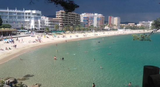 Playa de Torre Valentina