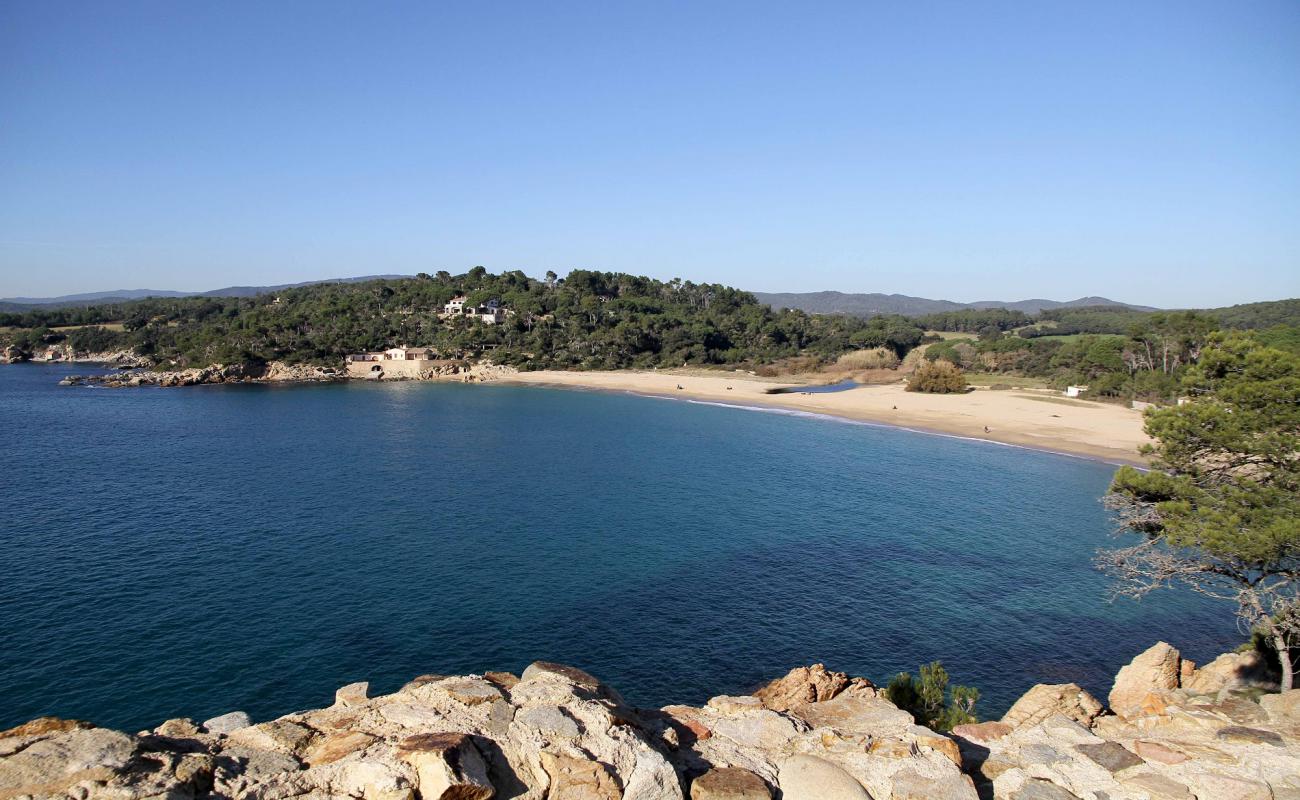 Foto de Playa de Castell de la Fosca con arena brillante superficie