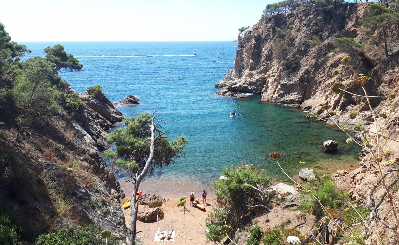 Foto de Cala Corbs con arena brillante y rocas superficie