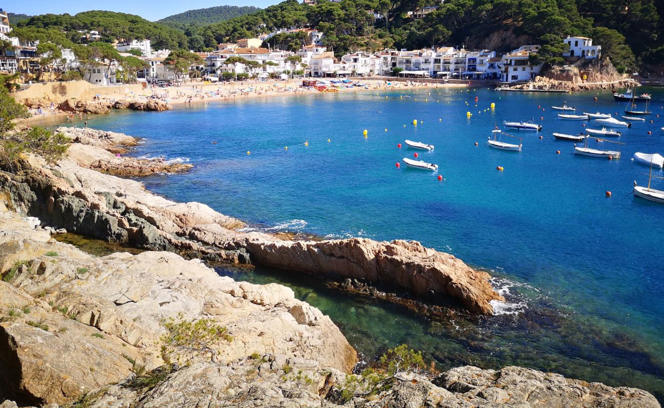 Foto de Platja de Tamariu con arena brillante superficie