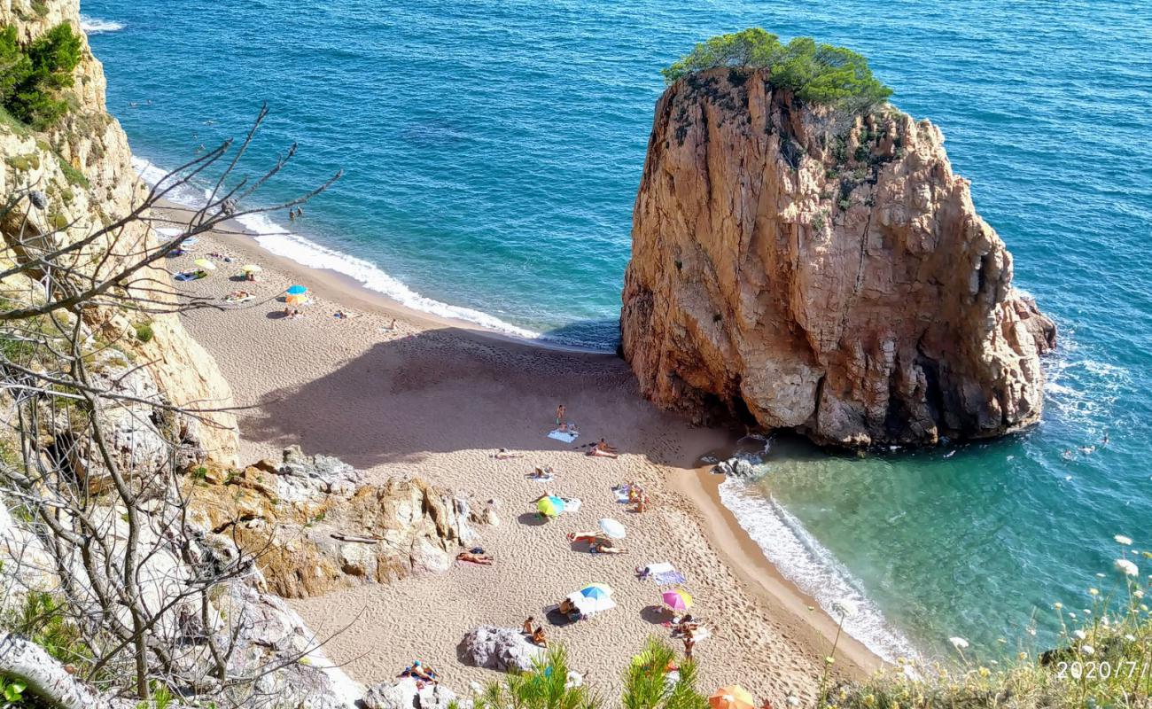 Foto de Platja de l'Illa Roja con arena brillante superficie