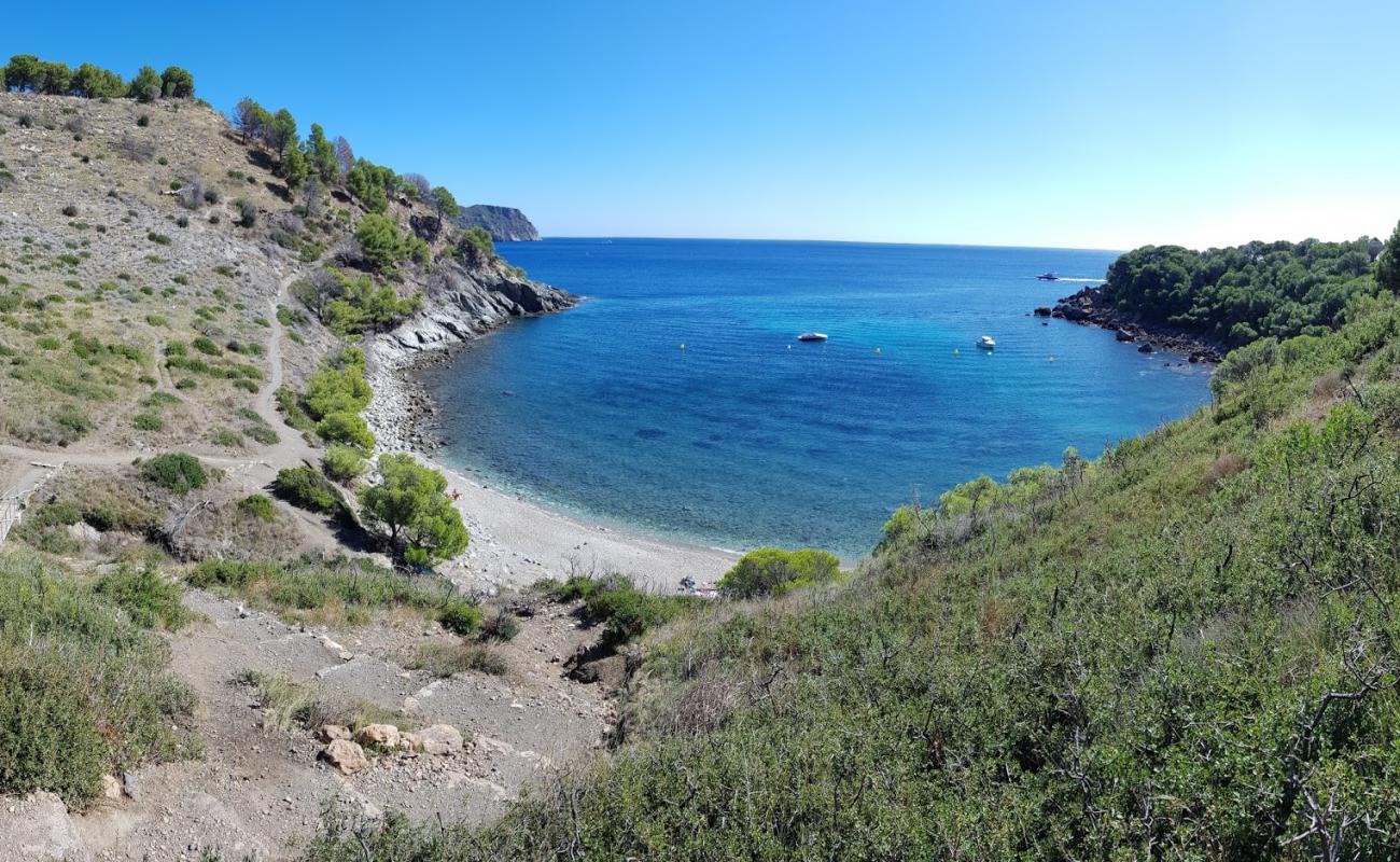 Foto de Platja Cala Murtra con arena/piedras marrón superficie