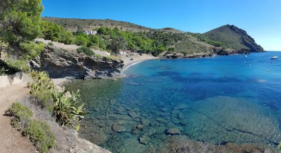 Cala Pelosa