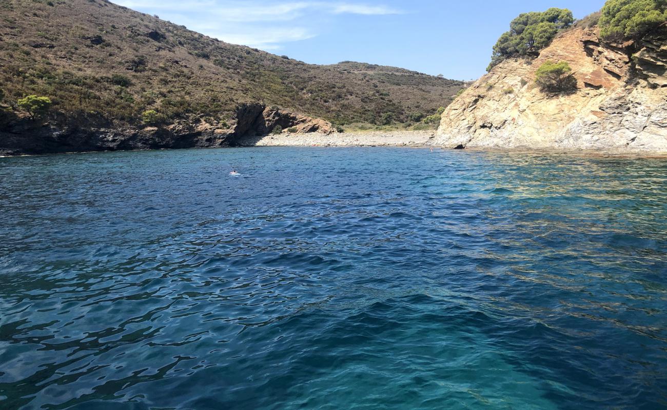 Foto de Cala Canadell con arena gris y piedras superficie