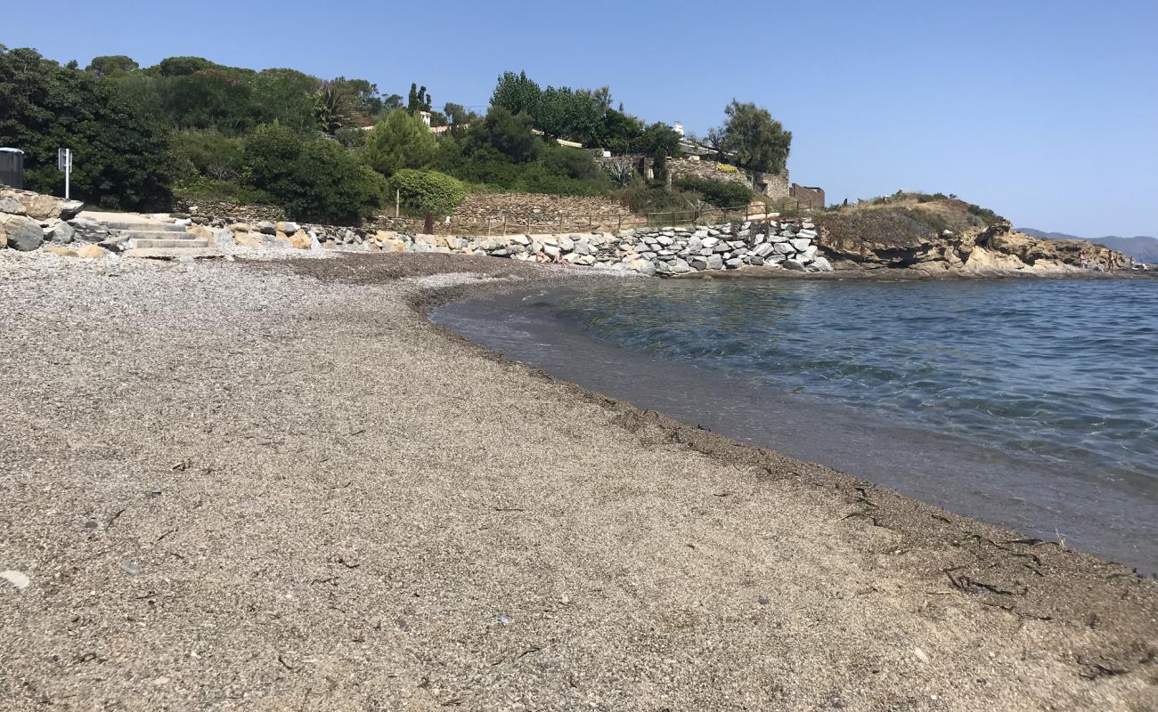 Foto de Platja d'en Taita con guijarro gris superficie