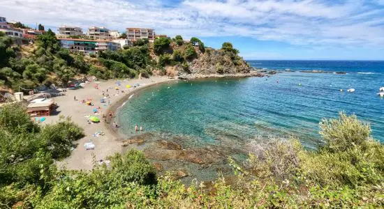 Platja del Cau del Llop