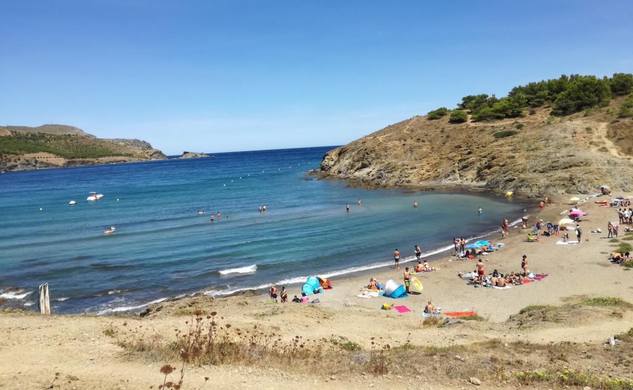 Foto de Platja del Borró con arena gris y guijarros superficie