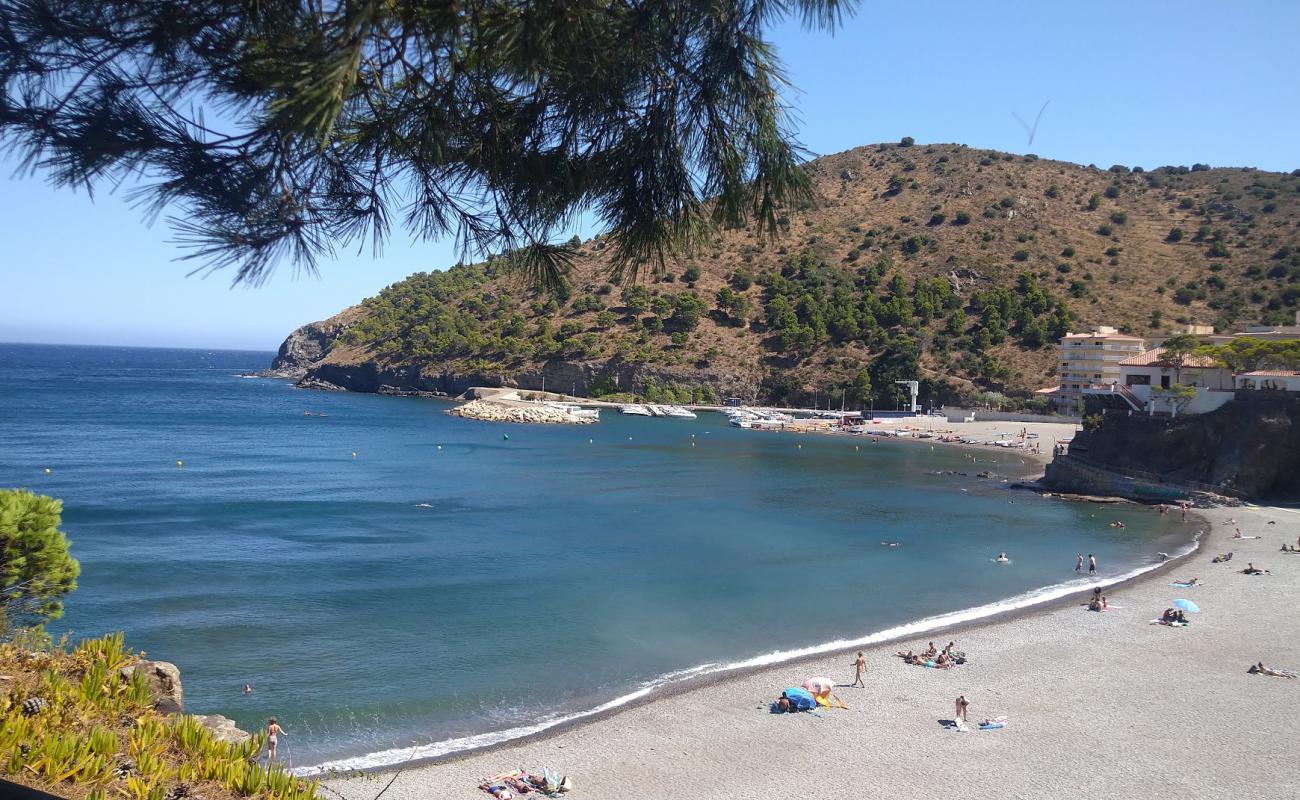 Foto de Playa del Morts con guijarro fino gris superficie