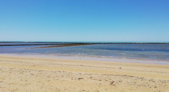 Playa el Camaleon