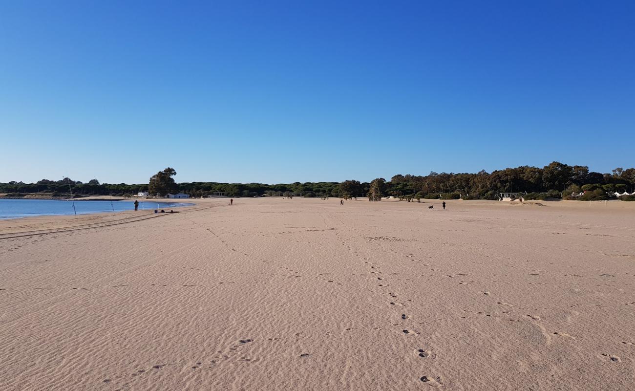 Foto de Playa de la Puntilla con brillante arena fina superficie