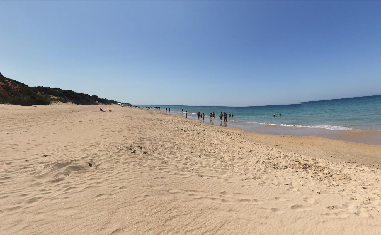 Foto de Playa Puerco ubicado en área natural