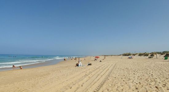 El Palmar Beach